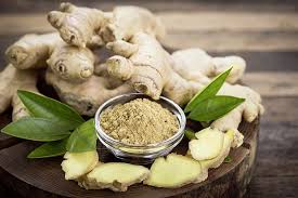 Over 100,000 english translations of german words and phrases. Wissenswertes Uber Den Ingwer Nachrichten Hogapage