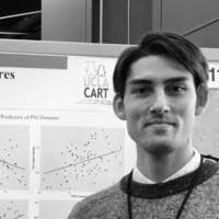 400+ "Schlink" profiles