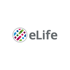 Elife download the vector logo of the elife brand designed by in encapsulated postscript (eps) format. Resources Elife