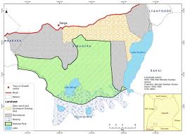 Image result for Ochna hackarsii