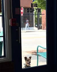 POV: Big Softie opens in 5 minutes and you're checking ... - Instagram