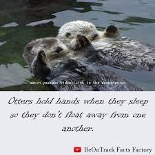 15 Cool Animal Facts That Are Funny And Amazing Fun Facts About Animals Animal Facts Crazy Animal Facts