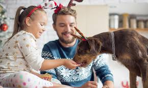 Six Festive Foods You Should Never Feed Your Dog Plus The Houseplants That Can Be Harmful Which News