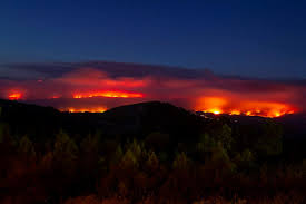 ℹ o incêndio em cernache do bonjardim que está em curso e que tem mobilizados 180 operacionais e 8 meios aéreos pode ser vist… Forcas Armadas Apoiam Combate Ao Fogo Em Castelo Branco