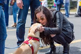 Search for your new friend at an adoption center near you! Pet Adoption Meet Your Best Friend At The Museum Michigan Humane