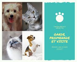 DURAND PRO PetSitter