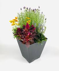 Fall Outdoor Planter In 2020 Outdoor Planters Planting Flowers Outdoor Plants