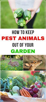 Check spelling or type a new query. Keeping Pest Animals Out Of Your Garden Predator Guard Predator Deterrents And Repellents