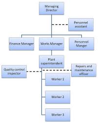 organisational structure