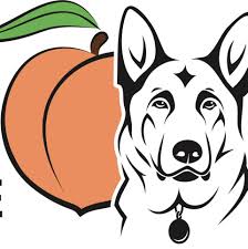 Check spelling or type a new query. Husky Pack Rescue Home Facebook