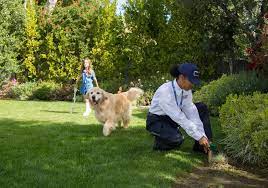 Pests in the home, such as insects and rodents, not only cause damage to ones property, but pose serious health issues as well. Clark Pest Control 74 Photos 92 Reviews Pest Control 485 O Neill Ave Belmont Ca Phone Number Yelp