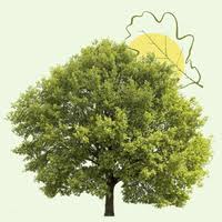 Avis de décès Roger LAROCHE