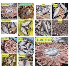 Maybe you would like to learn more about one of these? Ikan Kering Ori Kelantan Ikan Masin Shopee Malaysia