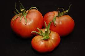 Among the largest tomatoes grown are those in the beefsteak class. Five Beefsteak Tomatoes You Ll Want To Grow Gardening Channel