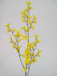 Forsythia Branch Tattoo Google Search Birth Flower Tattoos Forsythia Flowers