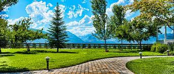 Call today to learn how our proven lawn care in zionsville keeps lawns green, growing, and protected. Lawn Care Services Hamilton Mt Lawns Etc