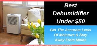Every house owner hates to see mold and dampness. 5 Best Dehumidifier Under 50 For Basement In 2021 Promoocodes