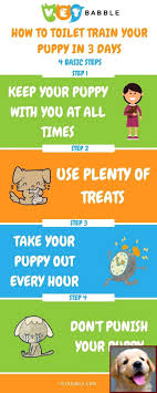 So you just bought or rescued a your puppy will be staying at our training facility where we will work with housebreaking to make your puppy revolve around your schedule and not. Dog Behavior Trainer Near Me And Clicker Training Dogs Sophia Yin Training Your Puppy Dog Clicker Training Dog Training Obedience