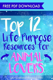 Get My Free Top 12 Animal Career Life Purpose Resources List Today Instant Free Pdf Download I Share The 12 Resour Life Purpose Career Books Career Quiz