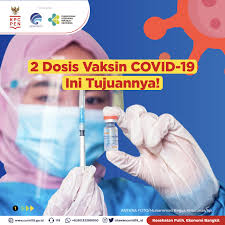 Menurut peraturan menteri kesehatan ri no. 2 Dosis Vaksin Covid 19 Ini Tujuannya Masyarakat Umum Covid19 Go Id