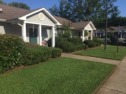 We did not find results for: Low Income Apartments In Douglas County Georgia