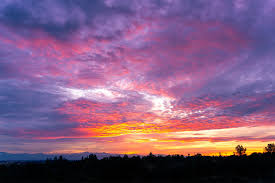 Cory Poole Photography