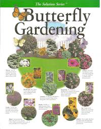 Pin By Mel Mac On The Secret Garden Butterfly Garden Hummingbird Garden Garden Planning