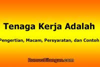 Contoh soal asli skd cpns tahun lalu. Contoh Soal Skb Cpns Semua Formasi Lengkap Dengan Kisi Kisi