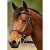 The horse stool makes for a perfect accent piece and can be used as a side table. 1