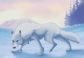 See more ideas about anime wolf, wolf drawing, wolf art. Snow White Cute Wolf Drawings Wolf Spirit Animal Anime Wolf Drawing