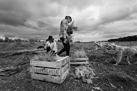 Read carta 1 from the story cartas de inverno by luiza_alves (luiza) with 95 reads. Cartas De Inverno Resumen Cartas De Inverno Agustin Fernandez Paz Comprar Libro Start Studying Carta Inverno 2020 William Mack