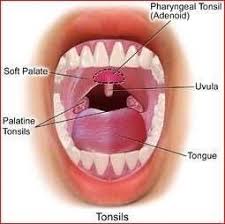 The use of tobacco products also increases the risk of cancers of the mouth, throat and voice box. Tonsillitis Symptoms And Treatment Patient