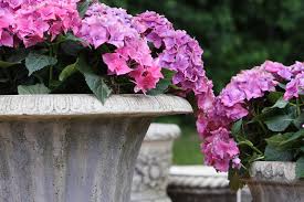 Mit vielfältigem (kunst)handwerk, beratungsständen zur. Schloss Garten Genuss 19 Juni 2022 Muller Messe Management