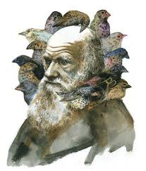 Charles Darwin With Finches Portrait Print In Multiple Sizes In 2021 Charles Darwin Science Tattoo Darwin