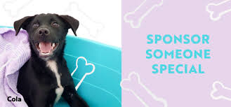 Hopalong and second chance animal rescue, oakland, california. Oasis Second Chance Animal Shelter Oscas Videos Facebook