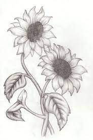 Visualizza altre idee su disegni, disegni a matita, schizzi. 40 Disegni A Matita Per Fiori Facili Per Ispirazione Disegni Facili Fiori Ispirazione Matita Pencil Drawings Of Flowers Sunflower Drawing Flower Drawing