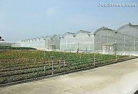Products supplied by gwg include commercial seeds, home garden products and fresh produce. Working At Green World Genetics Sdn Bhd Company Profile And Information Jobstreet Com Malaysia