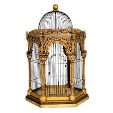 Bird In A Gilded Cage Song We Cam Across This Idea Of Free Labor And Internships In The Recitation And I Proposed The Idea Of The Three Stage Bird Cage Decor Bird Cage Antique Bird Cages