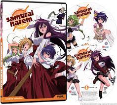 Samurai Harem: Complete Collection [DVD] [2010] [Region 1] [US Import]  [NTSC]: Amazon.co.uk: Samurai Harem-Asu No Yoichi: DVD & Blu-ray
