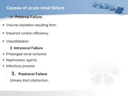 Image result for Postrenal Failure