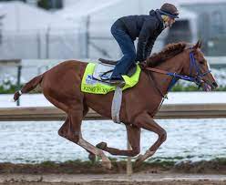 The best kentucky derby preps. Kentucky Derby Horses 2021 Rank Horse And Points