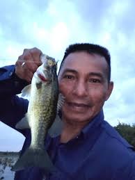 downhill skateboarding session with a beam