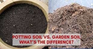 This is not good for your potted plants. Potting Soil Vs Garden Soil What S The Difference