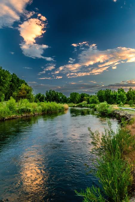 Learn About Water - Water Quality Association