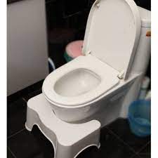 10 barangan penting untuk jaga kebersihan dapur dan tandas. Kerusi Tandas Duduk L Multi Function Toilet Squatty Stool Step Stool L Bangku Toilet L Bathroom Toilet Stool Shopee Malaysia