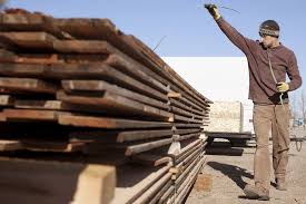 For the love of trees,