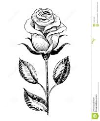After learning the basics of drawing a single rose, be sure to add to your knowledge with drawing a rose in colored pencil (including the leaves and stems!) and drawing a rose in graphite. Single Stem Rose Drawing