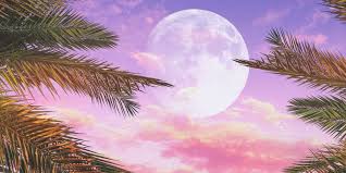 L'horoscope de la pleine lune du 26 mai 2021 en sagittaire. Comment La Super Lune Rose Va T Elle Influencer Votre Signe Astrologique Cosmopolitan Fr