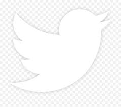 Check spelling or type a new query. Twitter Logo Png Transparent Background Transparent Background Twitter Logo White Twitter Logo Vector Free Transparent Png Images Pngaaa Com