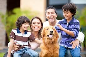 We did not find results for: 10 Lessons Learned From The Family Dog Gerber Life Insurance Blog